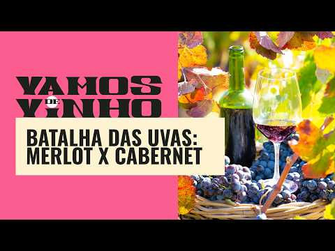 Vinho Cabernet ou Merlot? Descubra qual uva combina mais com seu gosto | Vamos de Vinho